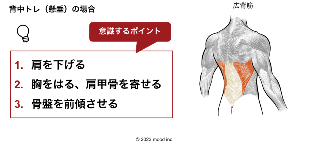 背中トレ、懸垂のやり方