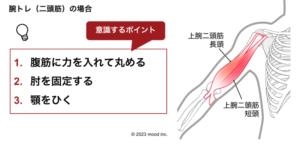 腕トレ、二頭筋トレのやり方