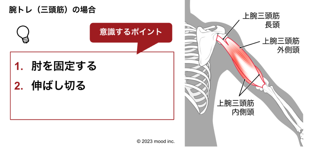 腕トレ、三頭筋トレのやり方